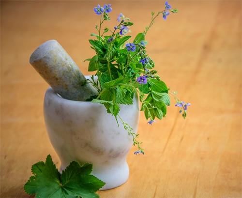 REZEPTFREIE POTENZMITTEL